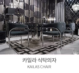 식탁의자